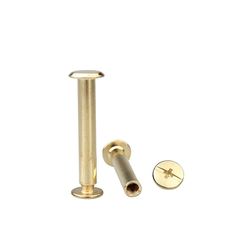 JINTANG 20 PCS vis chicago,M5x2mm rivet a visser,rivet cuir,Utilisé pour le bricolage en cuir Sac à vêtements, chaussures, livres et décoration (argenté