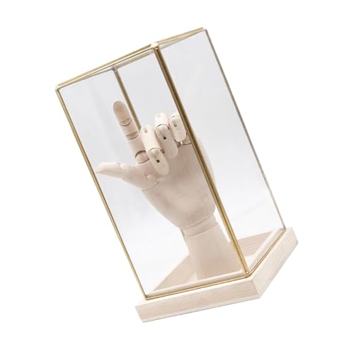 Geavonyg - Geavonyg Vitrine Élégante pour Objets De Collection Assemblage Couvercles Transparents Cadre en Laiton Enveloppes Verre Décors pour Vitrines Salon Affichage Verre