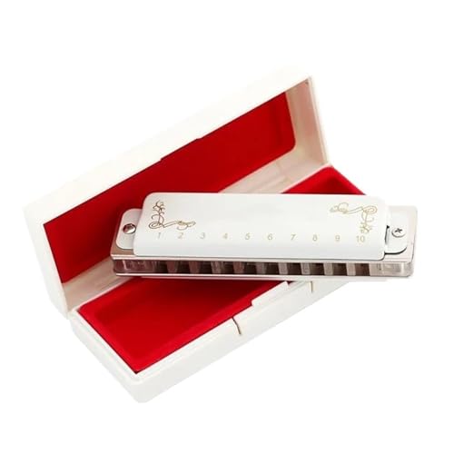 1020AL[SKn[jJJo[tvdly Dn[jJ(Key G)