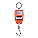 Ixkbiced Hängewaage Gepäckwaage 200 kg / 441 lb Digitale Waage Handheld Mini-Kranwaage mit Haken für Farm Digitale Hängewaage Hängewaage für Farmen
