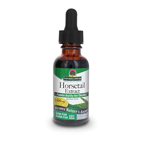 Nature's Answer Horsetail Extract Alcohol Free 1 Oz Super Concentrated