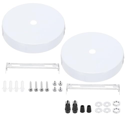 ZORVYN 2 piezas Rosetón para Lámpara de Techo, Soporte, Embellecedor Techo, Caja de Conexión de Metal, Pantalla Redonda con 1 Agujero, Apto para Todas las, Montaje de Lámparas (100 x 20 mm) (Blanco)