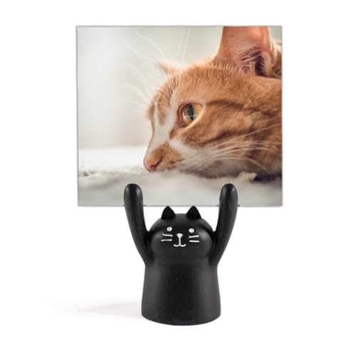 ̏ȔL̎ʐ^ J[gD[LX^h^z_[