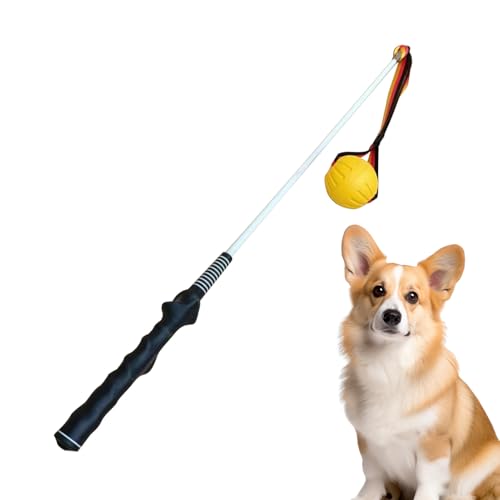 pt[g|[ - ^p|[ - qƂ̌𗬗VїpVщ^ O뉀pybgg[jOXeBbN