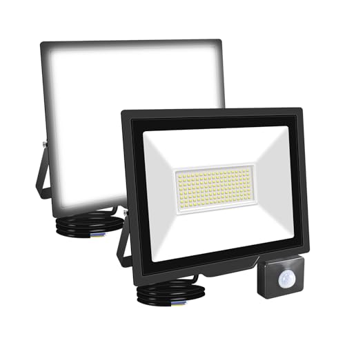 RIGIDON 2 Pcs PIR Motion Sensor Outdoor Floodlight, 100W 10000 Lumens Outside Led Work Light