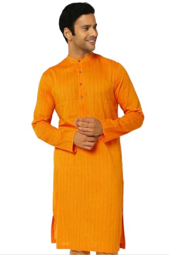 In-Sattva Men's Indian Majestic Bejeweled Pinstriped Indian Kurta Tunic