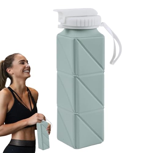 BinZyronic �܂肽���ݎ��E�H�[�^�[�{�g�� �R��h�~ �X�|�[�c�p 620ml �|�[�^�u�� ���F (��)