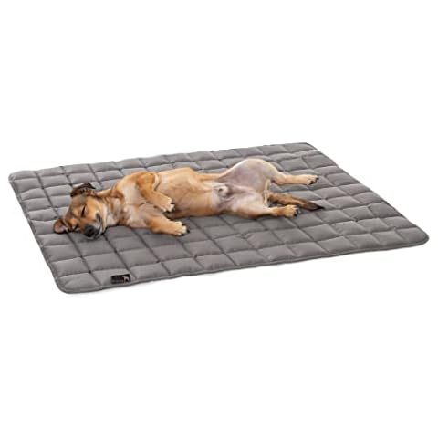 Manta Suave para Perros Pointer Cover