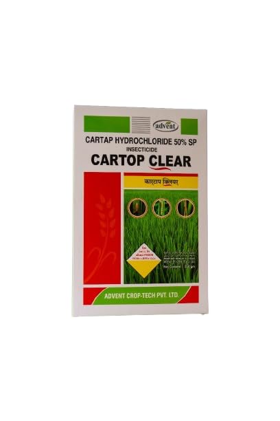 Advent Cartop Clear 1 Kg (250 Gm)