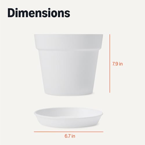 Amazon Basics Plant Pot with Saucer, Flower Pot with Drainage Holes, Lightweight PP, 8 Inch, 1-Pack - image 5