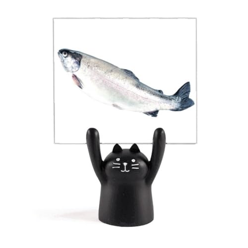 Cm̐VNȊ J[gD[LX^h^z_[