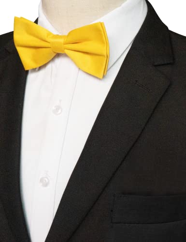 Image of JEMYGINS Solid Color Pre-tied Bow Tie Adjustable Bowtie for Men