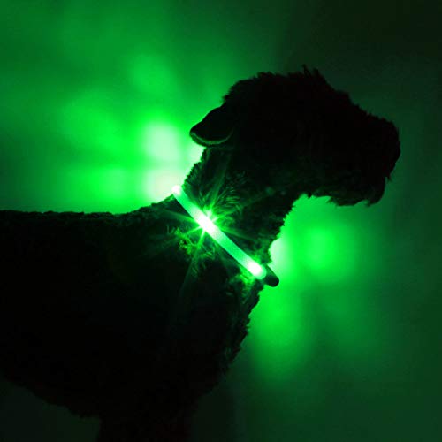 LEUCHTIE® Easy Charge Leuchthalsband Hund aufladbar, wasserdichtes LED Halsband, Leuchtband für Hunde 25 h Leuchtdauer, extrem hell, grün Größe 47,5