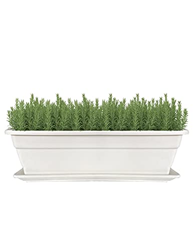 Jardineras Jardin202 - Jardinera 60 cm Blanco con Plato Incorporado - Maceta con Agujeros de Drenaje