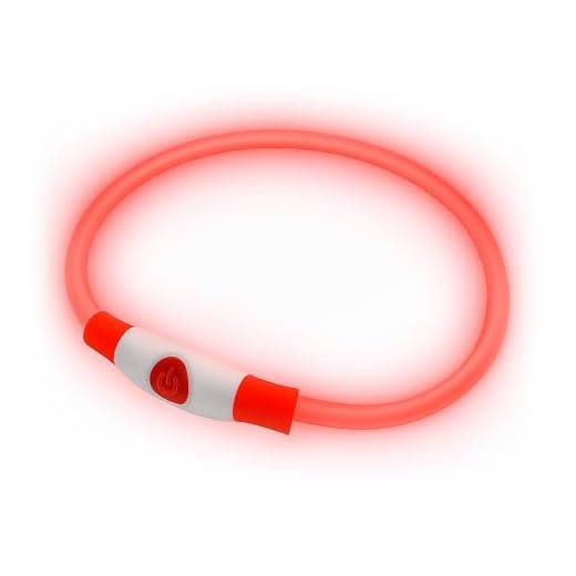 Modisches LED-Hundehalsband in Rot