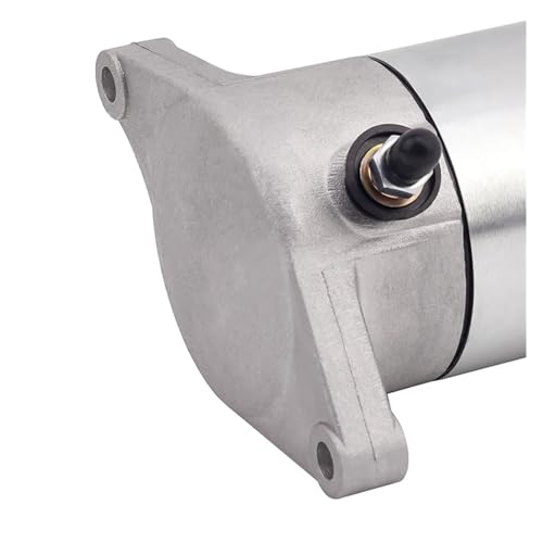 Démarreur moto pour Quadrunner 250 LTF250 LTF300F - 4