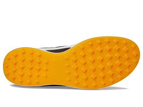 Image of ECCO Biom Hybrid I Hydromax