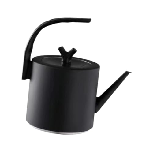 Bouilloire en acier inoxydable noir durable et verseuse de précision