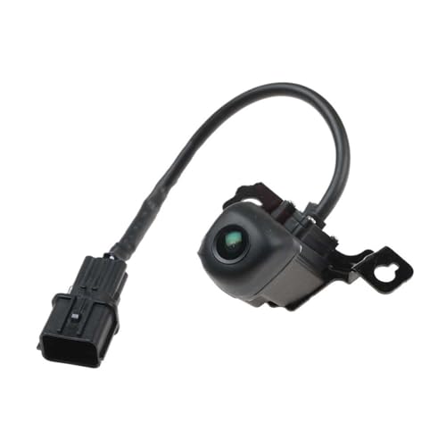 Caméra recul 95760-2W640 pour véhicule Santa Fe Sport 2016-2018 DOHC TCI GDI aide au stationnement