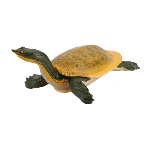 Frcolor ?^WT͌^ mpNGCeButBMA ϏՌ ̑z͈琬