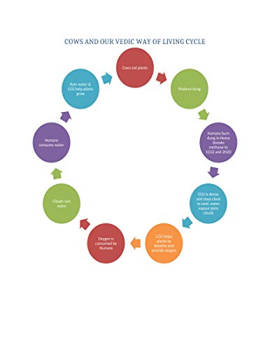 Gaushala Desi Cow Dung Cakes Used as Dry Cow Dung Manure for Havan (Pack of 10)