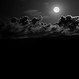 arachnophobie film streaming vf  Arachnophobia [Explicit]