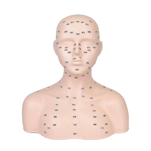 perfk Tête de mannequin avec épaules, modèle multifonctionnel et léger avec points d'acupression, pour salon de beauté à domicile et en