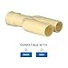 Fisher & Paykel Joiner Double Drain Hose Connector - OEM Appliance Parts 529872 for Home Improvement, ‎1.1 x 4.7 x 5.2 inches