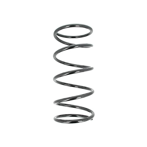 KYB RD6420 Coil Spring