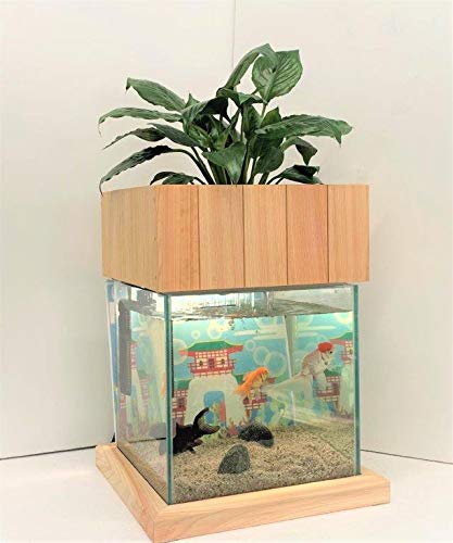 バーゲンで 水槽 アクアポニックス 水槽で水耕栽培 おしゃれ セット 水槽 アクアリウム その他 Www Bswmaternityvoices Org Uk