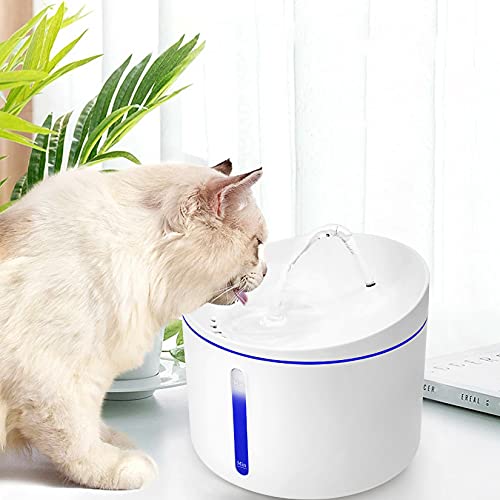 爆買い 2l 超静音 陶器製 水飲み器 セラミックス 給水器 猫 みずのみ器 犬 自動給水器 ペット 大容量 ペ フィルター 軟水化 活性炭 循環式 食器 餌やり 水やり用品 爆買い 2l 超静音 陶器製 水飲み器 セラミックス 給水器 猫 みずのみ器 犬 自動給水器 ペット 大容量 ペ フィルター 軟水化 活性炭 循環式 食器 餌やり 水やり用品