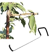 Amazon.com : WLSANX Fruit Tree Branch Spreader,Tree Branch Limb ...