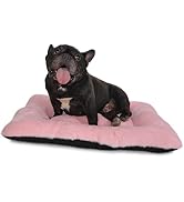 Dog Crate Mat 24 Inch for Small Dogs Fit Metal Crates,Ultra Soft 24x18 Dog Bed for Crate Washable...