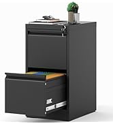Reegang 2 Drawer File Cabinet with Lock, 18" D Metal Vertical File Cabinets, Steel File Storage C...