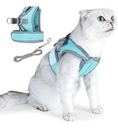 HEYWEAN Escape Proof Cat Kitten Harness with Leash Set for Walking Soft Mesh Cat Harness and Lead...