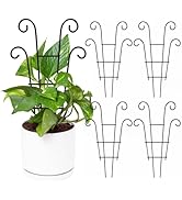 Coomin Small Plant Trellis for Climbing Plants Indoor, 14.5in Metal House Plant Trellis for Potte...