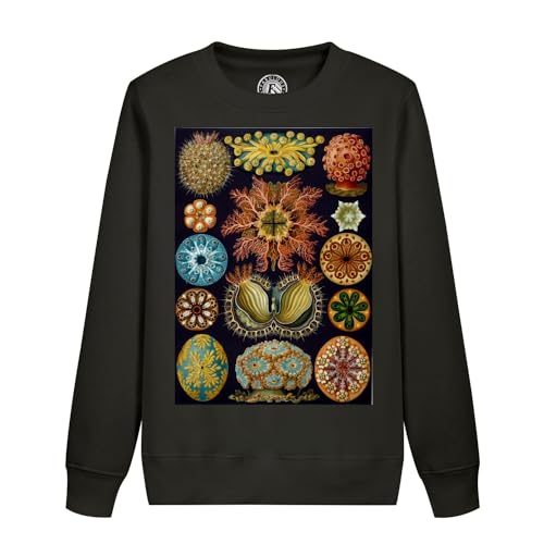 Sweatshirt enfant planche corail gravure ancienne dessin biologie mode vintage