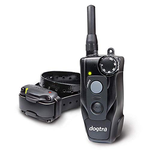 Dogtra 200C Remote Training Collar - 1/2 Mile Range, Rechargeable, Waterproof - Plus 1 Iclick Training Card, Jestik Click Trainer - Value Bundle #TOP21