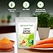 Z Natural Foods Organic Carrot Powder, Natural Superfood Powder for Vision and Heart Health, Great in Juices, Smoothies, and Recipes, Non-GMO, Vegan, Gluten-Free, Kosher, 1 lb.
