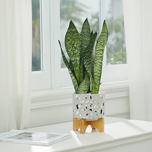 Tengsan Ceramic Planter With Bamboo Stand, 5.1 Inch Cute Ceramic Terrazzo Pattern Plant Pot For Indoor Or Outdoor Flowers Modern Decorative, Home Desktop Office Windowsill Decoration Gift(Grey) #TOP3