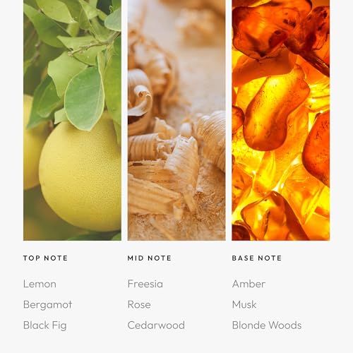 Image of Aroma360 - Smart Car Diffuser Oil - Black Velvet - Premium Car Air Freshener Cartridge - Zesty Citrus, Black Fig, & Floral Rose - Essential Oils - Vegan - Aromatherapy - Cars, Trucks, SUVs, RVs & More