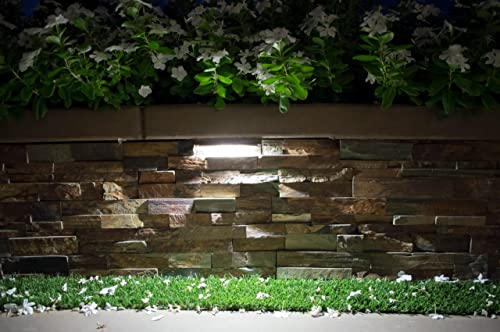 Alliance Outdoor Lighting, Sl75-Led Ledge Light, Flood Step Light, Brass Fixture, Aged Brass Finish, 7.5 Inch X 4.25 Inch W X 2 Inch #TOP3