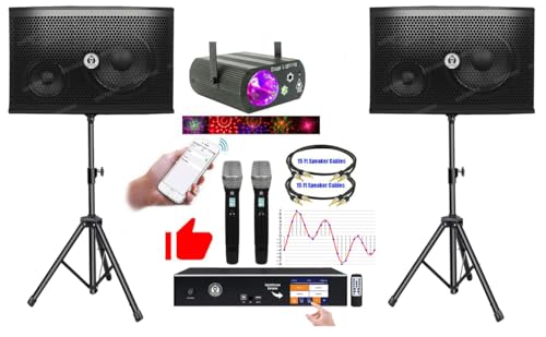 Professional 2500W YouTube Karaoke System