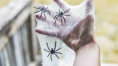Happy Hippo Halloween Spider Web Decoration, 200 Sqare Feet & Plastic Spiders, Halloween Party Supplies, Spider Webs (Small, 200 Sq Feet) #TOP4