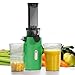 Produktbild Ventray Ginnie Entsafter, Slow Juicer mit 60 U/min, 45mm Öffnung, Rückwärts Funktion und Zwei Filtergrößen, BPA Freie, 100 Watt, Leicht zu Reinigen & Leiser, Schlankes Design, 400ml, Papageiengrün