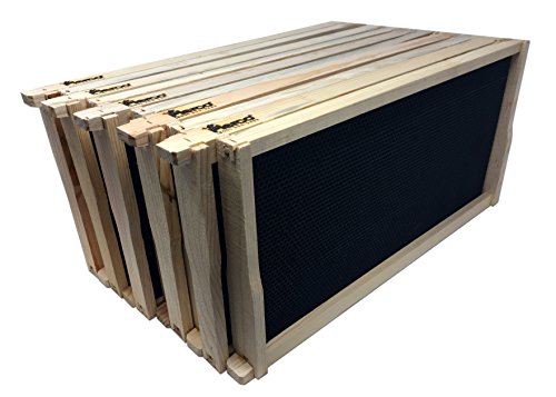 Pierco Inc. 10-Pack Assembled Commercial Frames with Waxed Black Pierco Foundation, 9-1/8-Inch