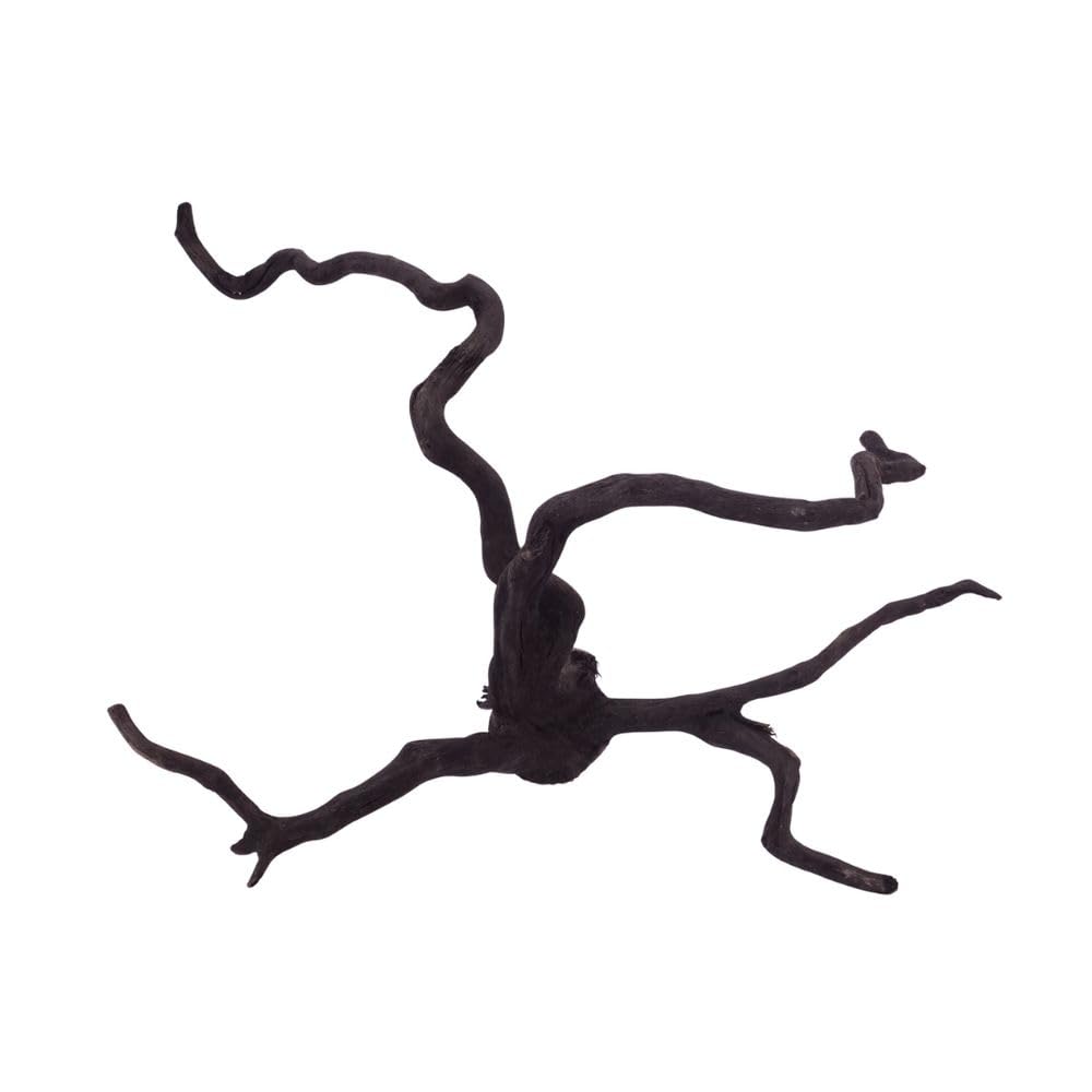 AquaOne XL Black Spider Wurzel Nr.2676 Aquarium Wurzel Holz Deko Aquascaping Dekoration Landschaft Moorkien Moorwood Redwood Mangrove Moos Natur Echtholz