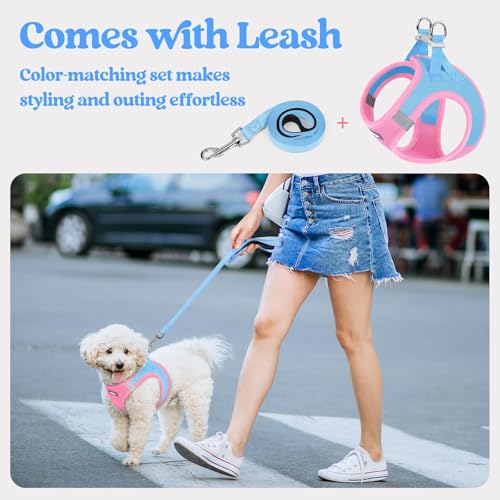 Image of rabbitgoo Dog Harness Medium Sized and Leash Set, Step-in Puppy Pet Vest