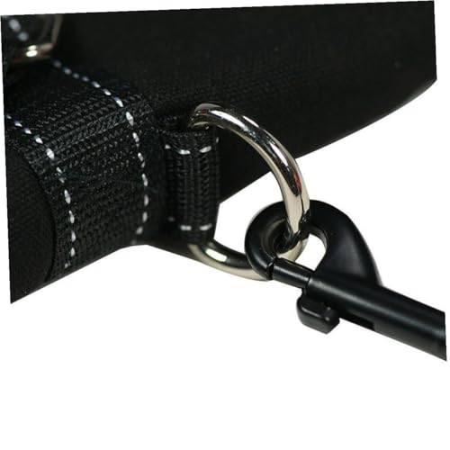 Laisse rétractable pour chien 50kg à ruban extensible 5m - 5