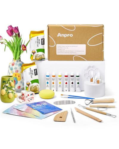 Anpro Air Dry Clay for Adults,21 PCS Pottery Kit,2 * 500g Clay Kit with Tools,Instructions & Gloss Varnish,Paint,Tool Set,Paintbru,Arts Crafts Hobby